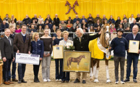 E' Benicio lo stallone dell'anno Hannover 2025