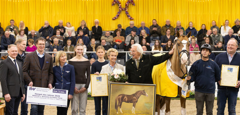 E' Benicio lo stallone dell'anno Hannover 2025