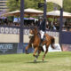 Farrington domina la Longines Ranking Jumping, Brash e Thomas incalzano 1