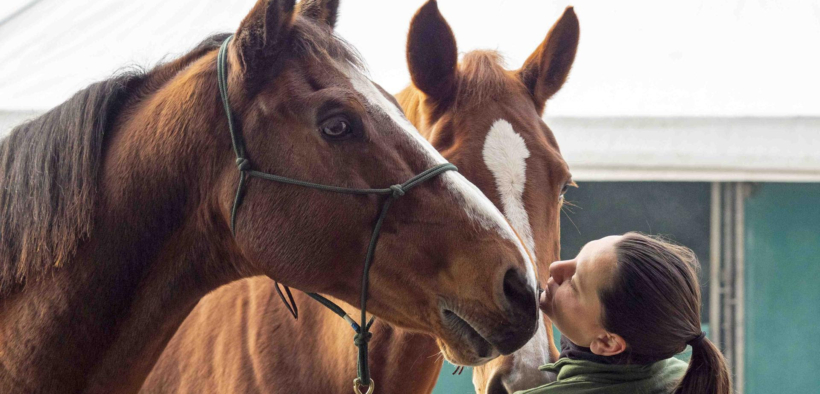 Fieracavalli 2025: al via domani con 2.200 cavalli, 700 aziende e 200 eventi