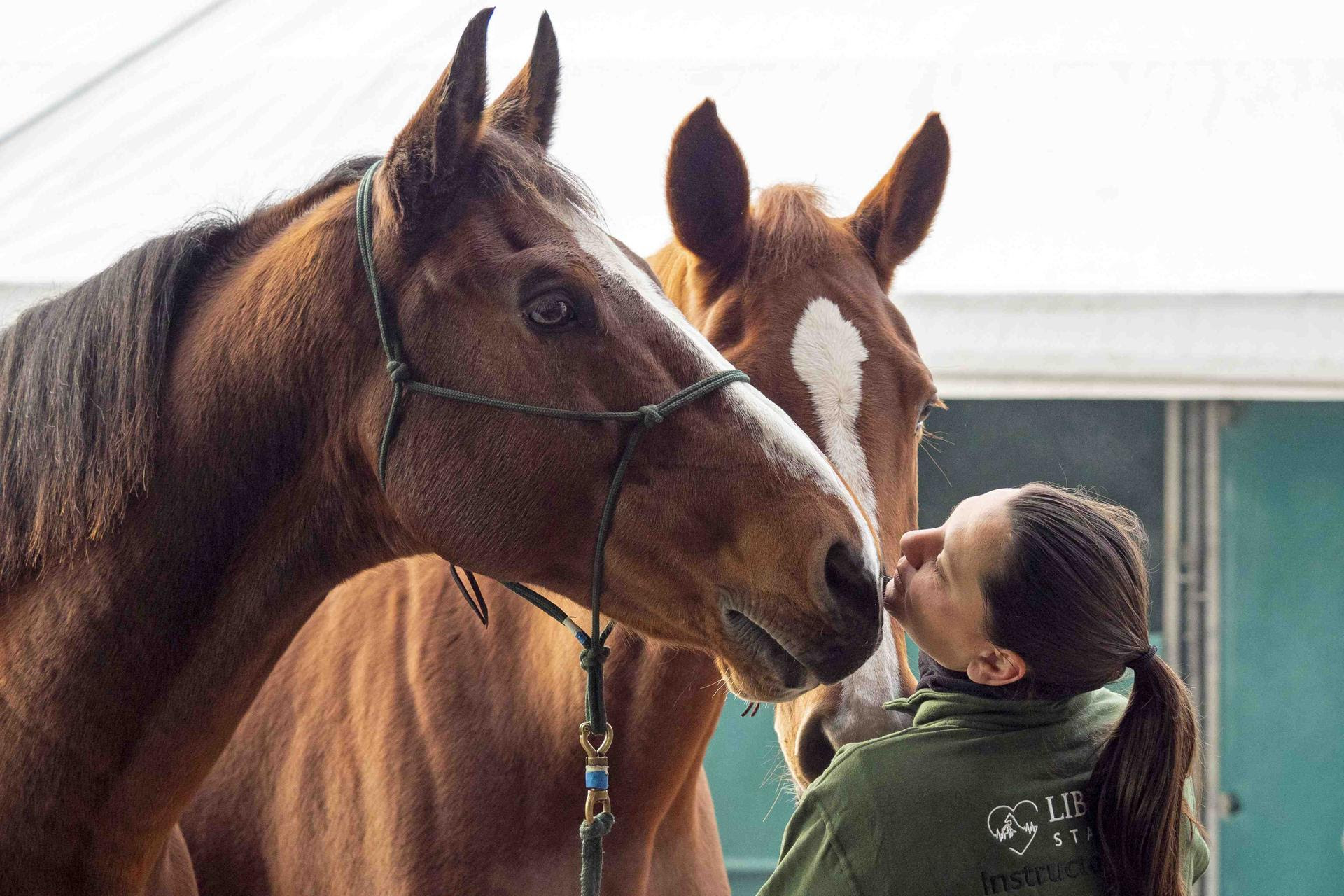 Fieracavalli 2025: al via domani con 2.200 cavalli, 700 aziende e 200 eventi