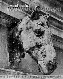 Fregi equestri a Trieste, una città antica a cavallo 4