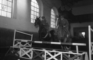 Fregi equestri a Trieste, una città antica a cavallo 7