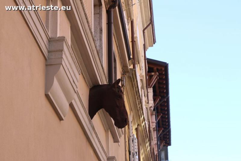 Fregi equestri a Trieste, una città antica a cavallo