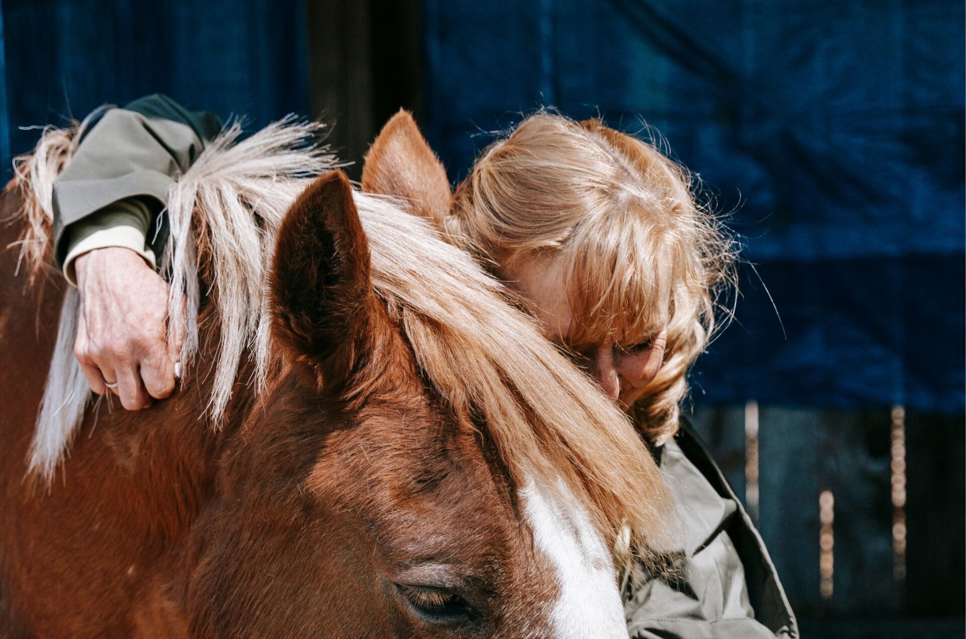 "Gli animali non sono cose" ma "una vita di cui prendersi cura": note a margine di veterinari e avvocati