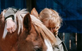 "Gli animali non sono cose" ma "una vita di cui prendersi cura": note a margine di veterinari e avvocati