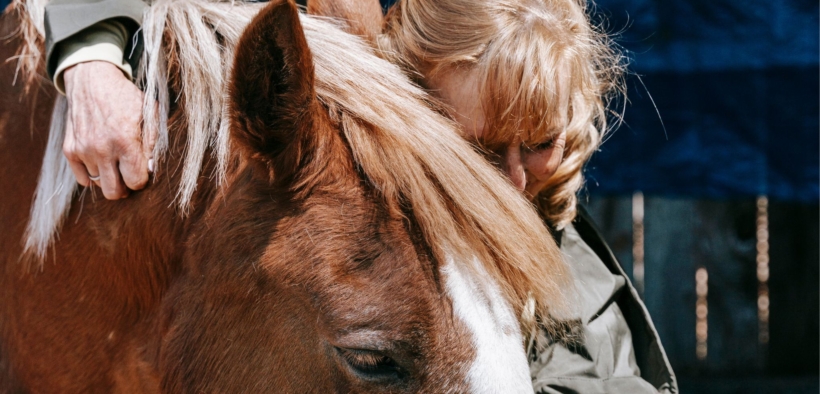 "Gli animali non sono cose" ma "una vita di cui prendersi cura": note a margine di veterinari e avvocati