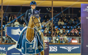 Grand Prix Internazionali: ecco i podi (# week 44)