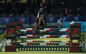 Grand Prix Internazionali: ecco i podi (# week 45)