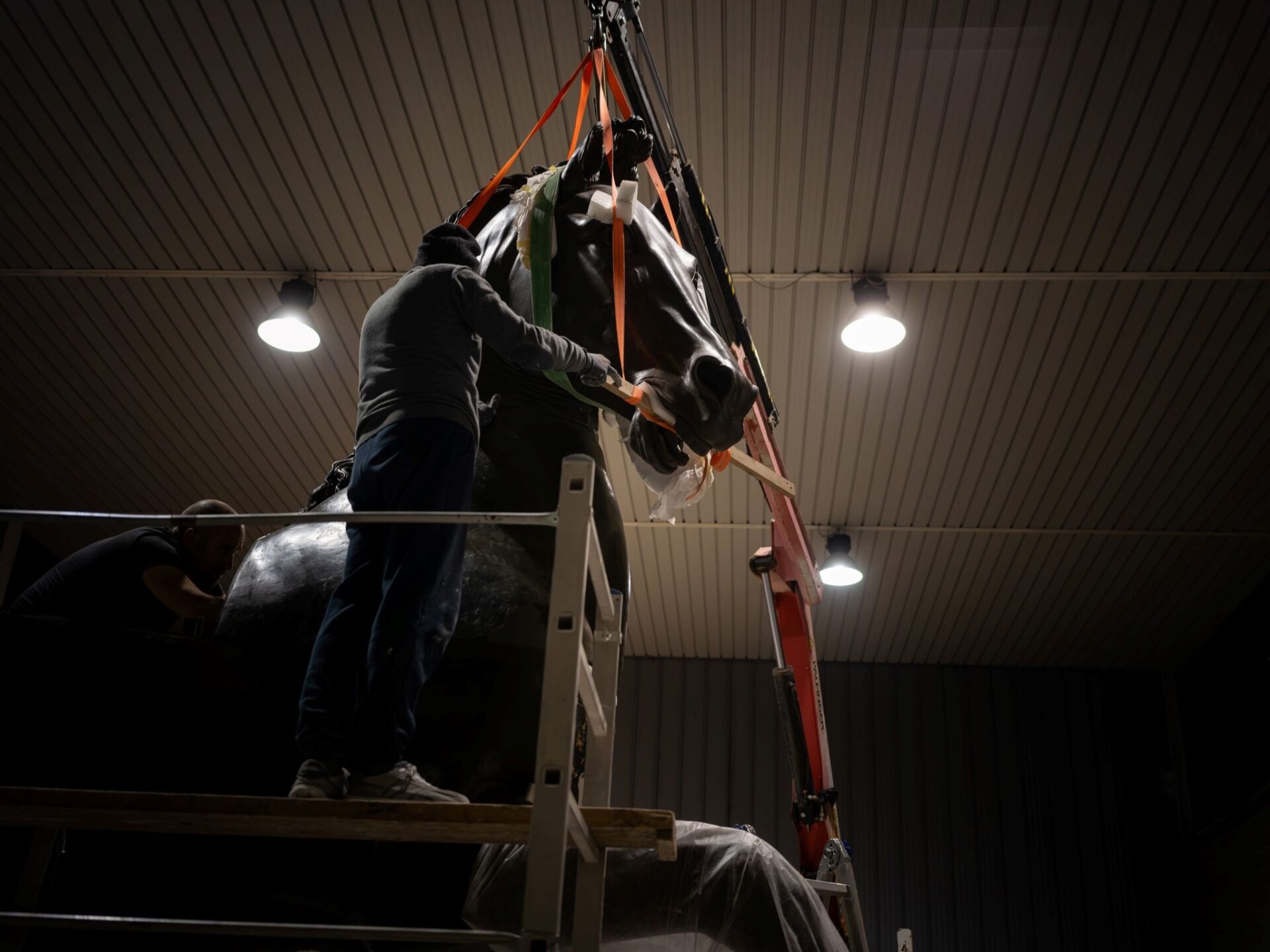 Il Cavallo Colossale di Antonio Canova torna a mostrarsi al pubblico