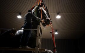 Il Cavallo Colossale di Antonio Canova torna a mostrarsi al pubblico