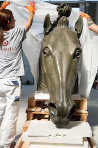 Il Cavallo Colossale di Antonio Canova torna a mostrarsi al pubblico 2