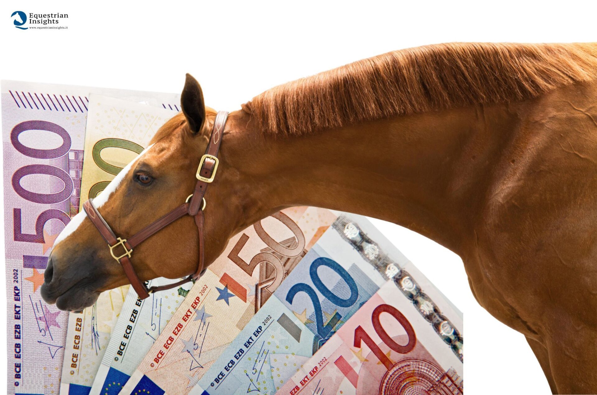 Il settore equestre in Europa genera molto reddito: alcune cifre chiave