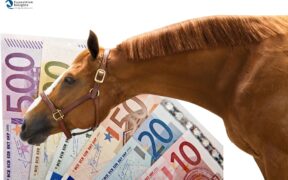 Il settore equestre in Europa genera molto reddito: alcune cifre chiave