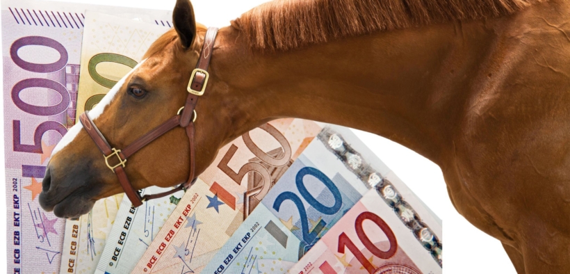 Il settore equestre in Europa genera molto reddito: alcune cifre chiave