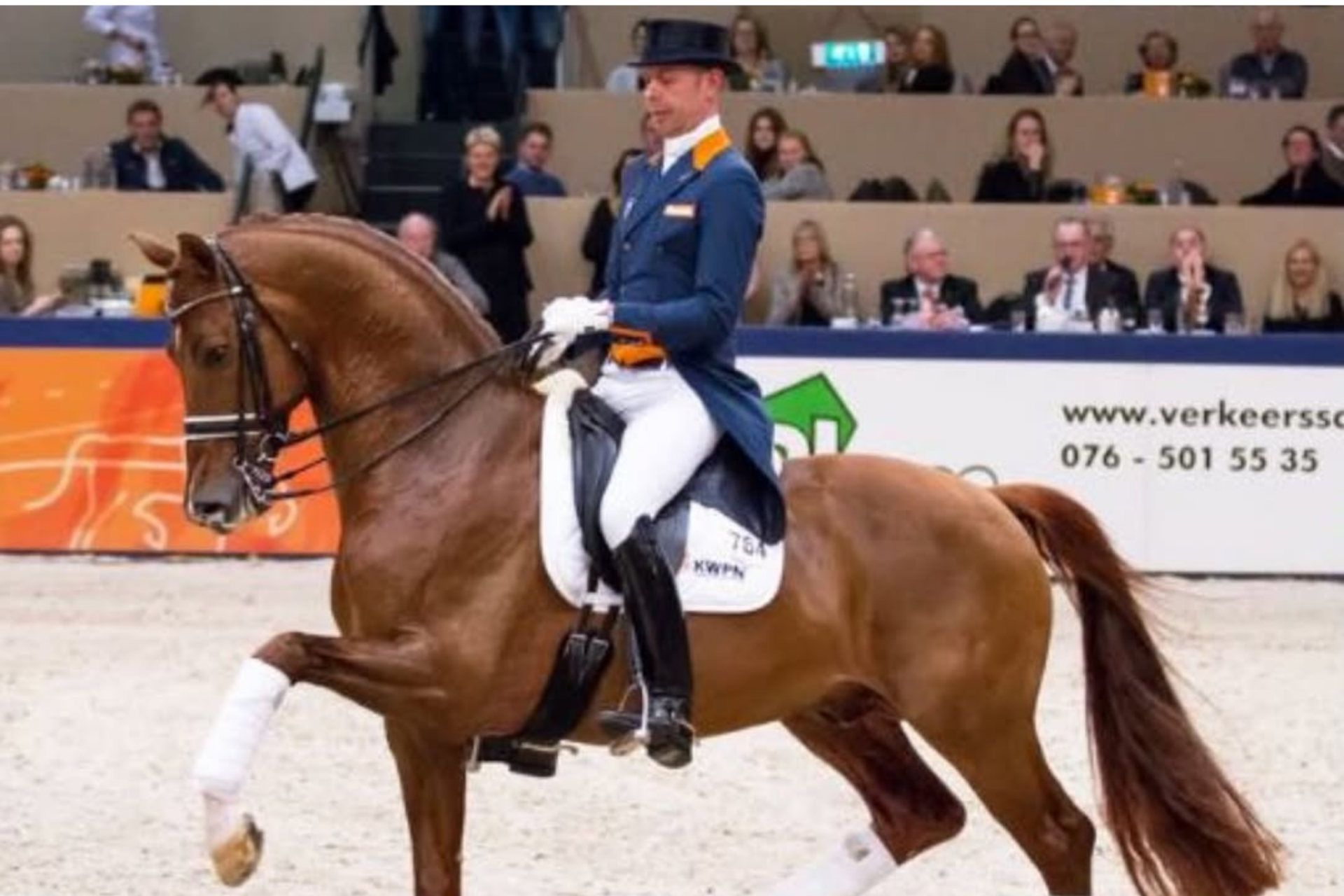 KWPN Horse of the Year 2025: scopriamo i candidati