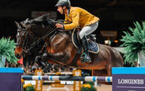 L’ascesa dello studbook estone (ESHB): tre cavalli di livello mondiale