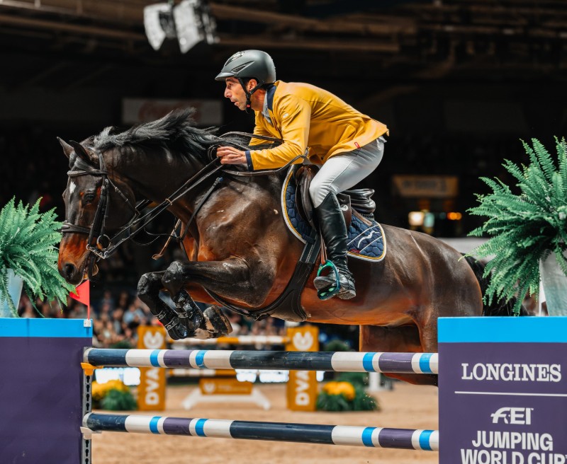 L’ascesa dello studbook estone (ESHB): tre cavalli di livello mondiale