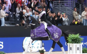 Ranking Dressage: Justin Verboomen sempre al vertice 2