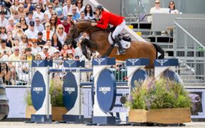 Revisione del Regolamento Salto Ostacoli FEI: l'IJRC analizza la versione finale di alcune modifiche al voto