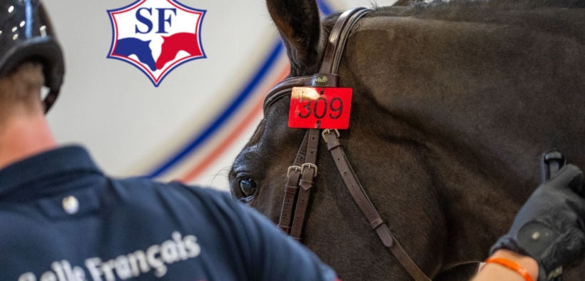 Selle Français: dominio per guadagni e numero di cavalli 1