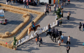 Successo record per Fieracavalli 2025: 140 mila visitatori e presenze da 79 Paesi