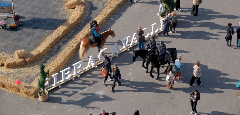 Successo record per Fieracavalli 2025: 140 mila visitatori e presenze da 79 Paesi