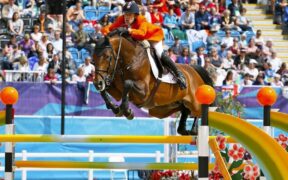 Top Jumping Horses: dai primi salti a 1,60 m agli anni al vertice