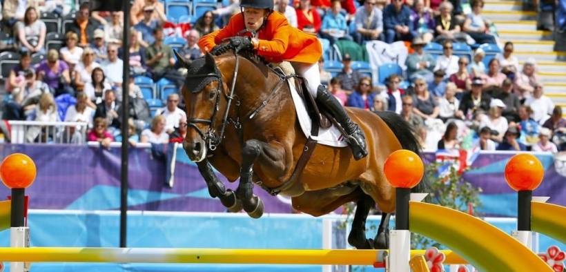 Top Jumping Horses: dai primi salti a 1,60 m agli anni al vertice