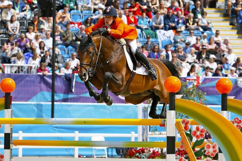 Top Jumping Horses: dai primi salti a 1,60 m agli anni al vertice