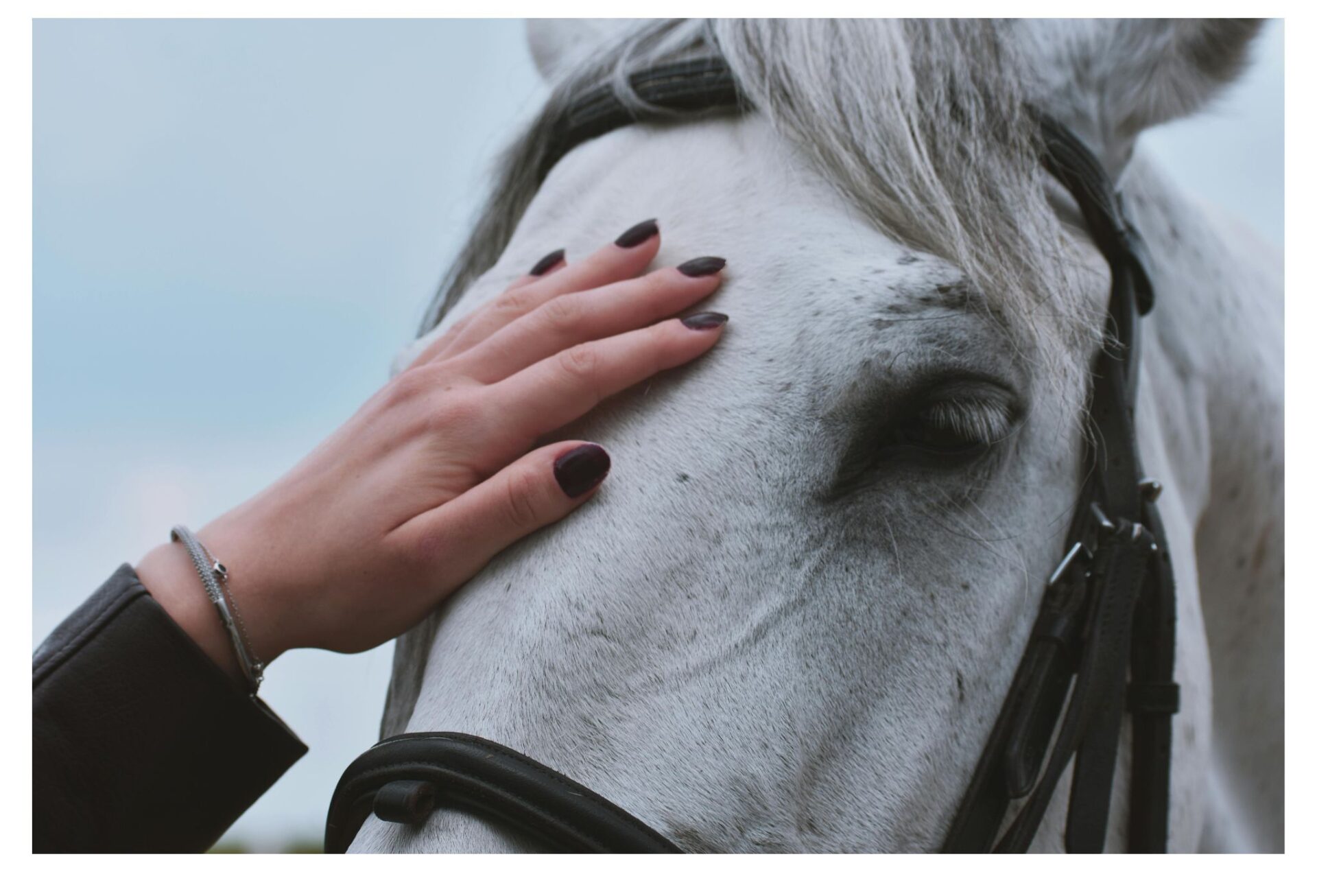 Affaire Nicole Berlusconi / Scuderia Antali arriva ad un quid in Tribunale