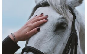 Affaire Nicole Berlusconi / Scuderia Antali arriva ad un quid in Tribunale