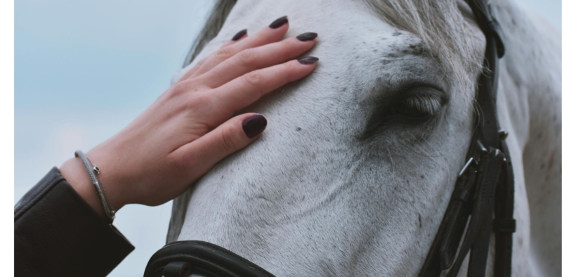 Affaire Nicole Berlusconi / Scuderia Antali arriva ad un quid in Tribunale