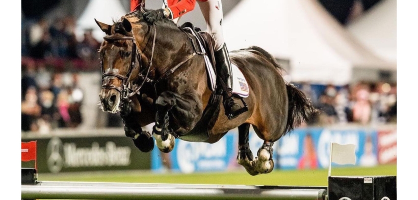 Balou du Reverton (Cornet's Balou, Balou de Reverton)