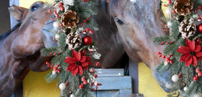 Buon Natale da Equestrian Insights: "trying to keep it all the year"