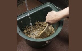 Come affrontare al meglio l'inverno? Alcuni consigli by Cortal Horse