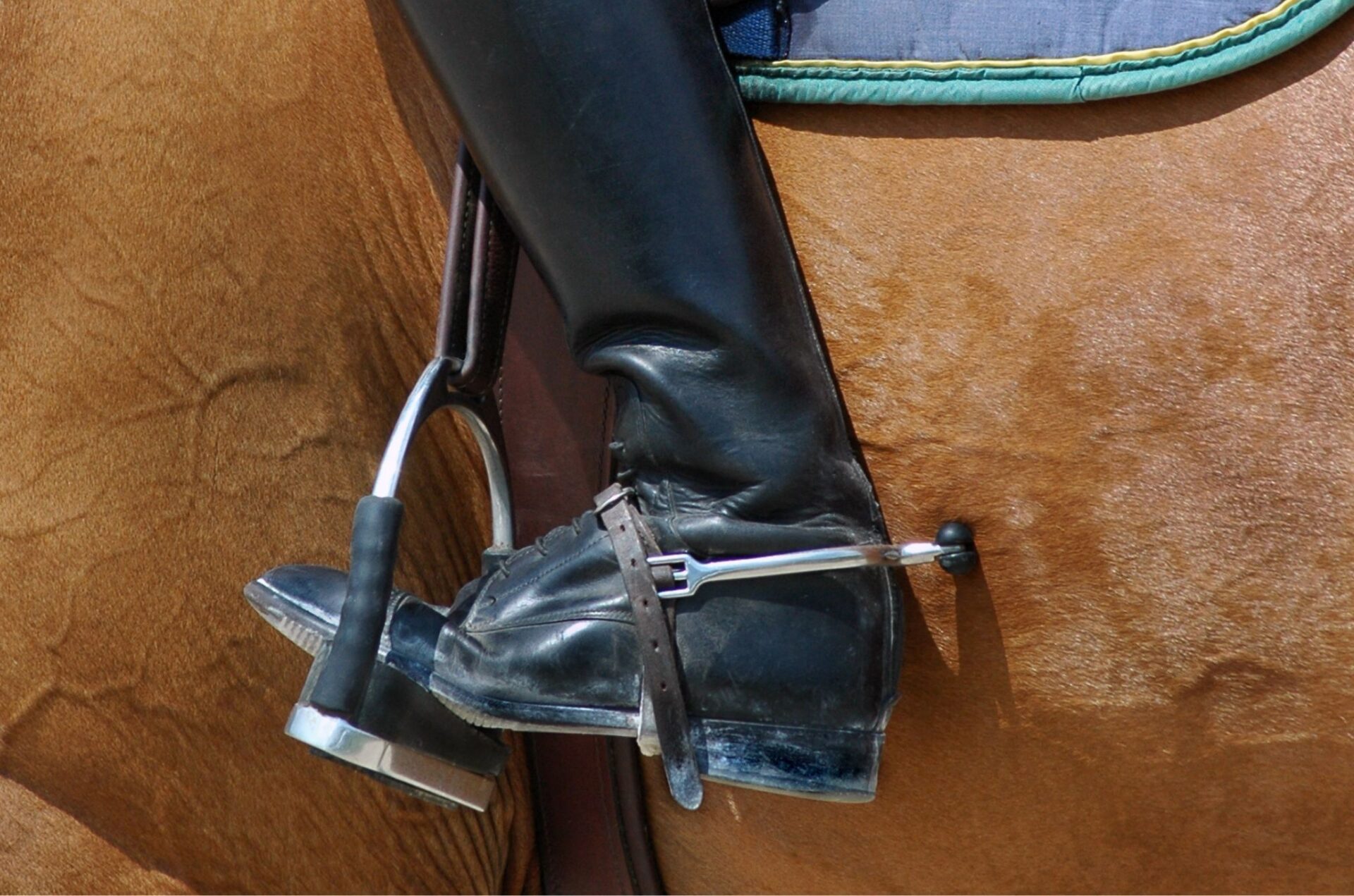 FEI Jumping Rule Art. 259 sotto i riflettori all'Assemblea Generale dell'IJRC a Ginevra