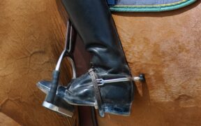 FEI Jumping Rule Art. 259 sotto i riflettori all'Assemblea Generale dell'IJRC a Ginevra