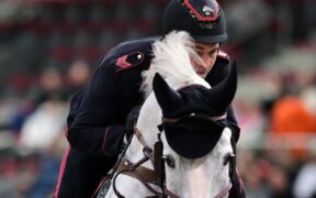 Gaudiano imbattibile nella 155 LR di Salisburgo (CSI4*)