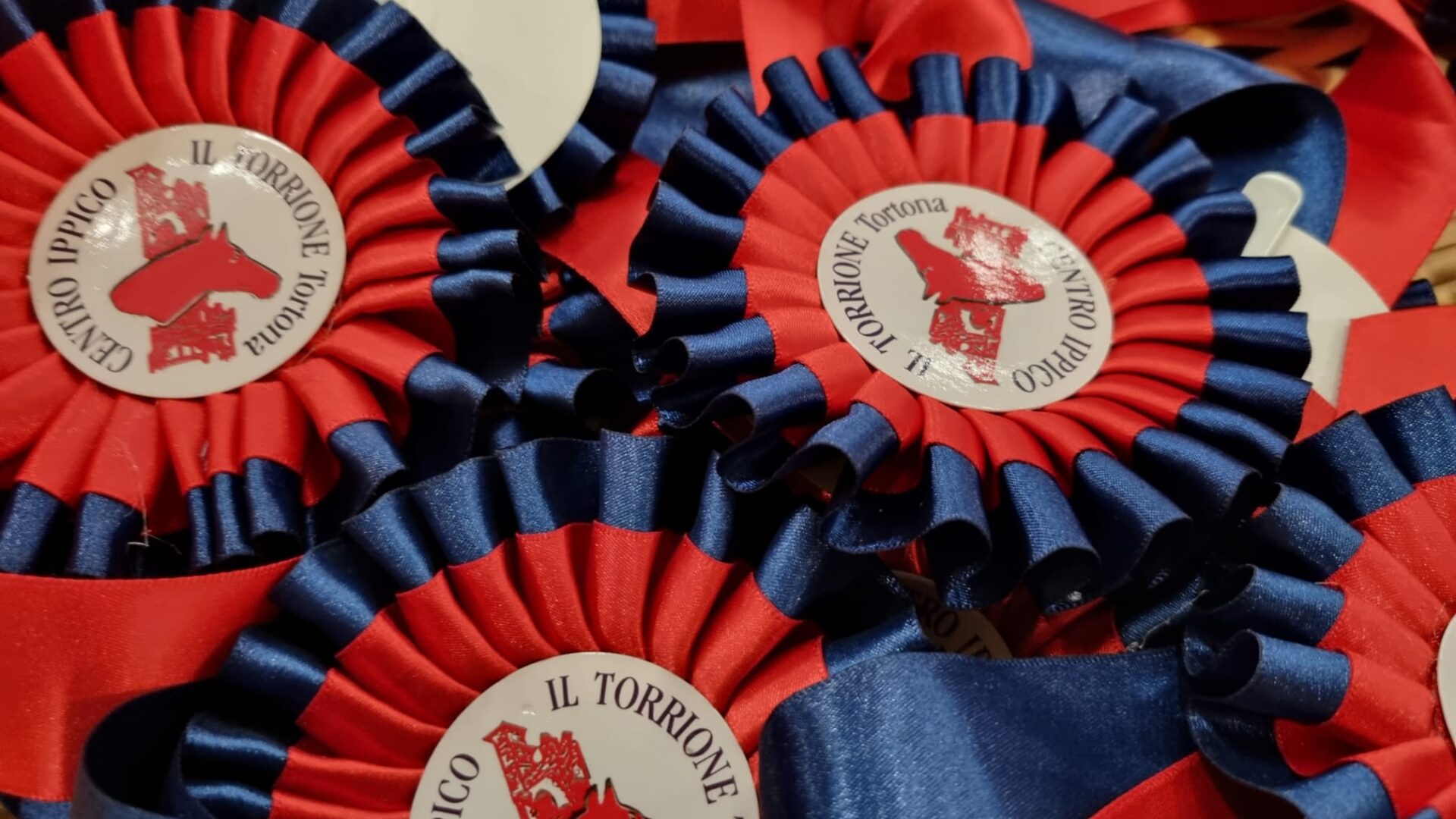 Gran Premi Naz. A5*: ecco i risultati 26