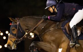 Grand Prix Internazionali: ecco i podi (# week 49)