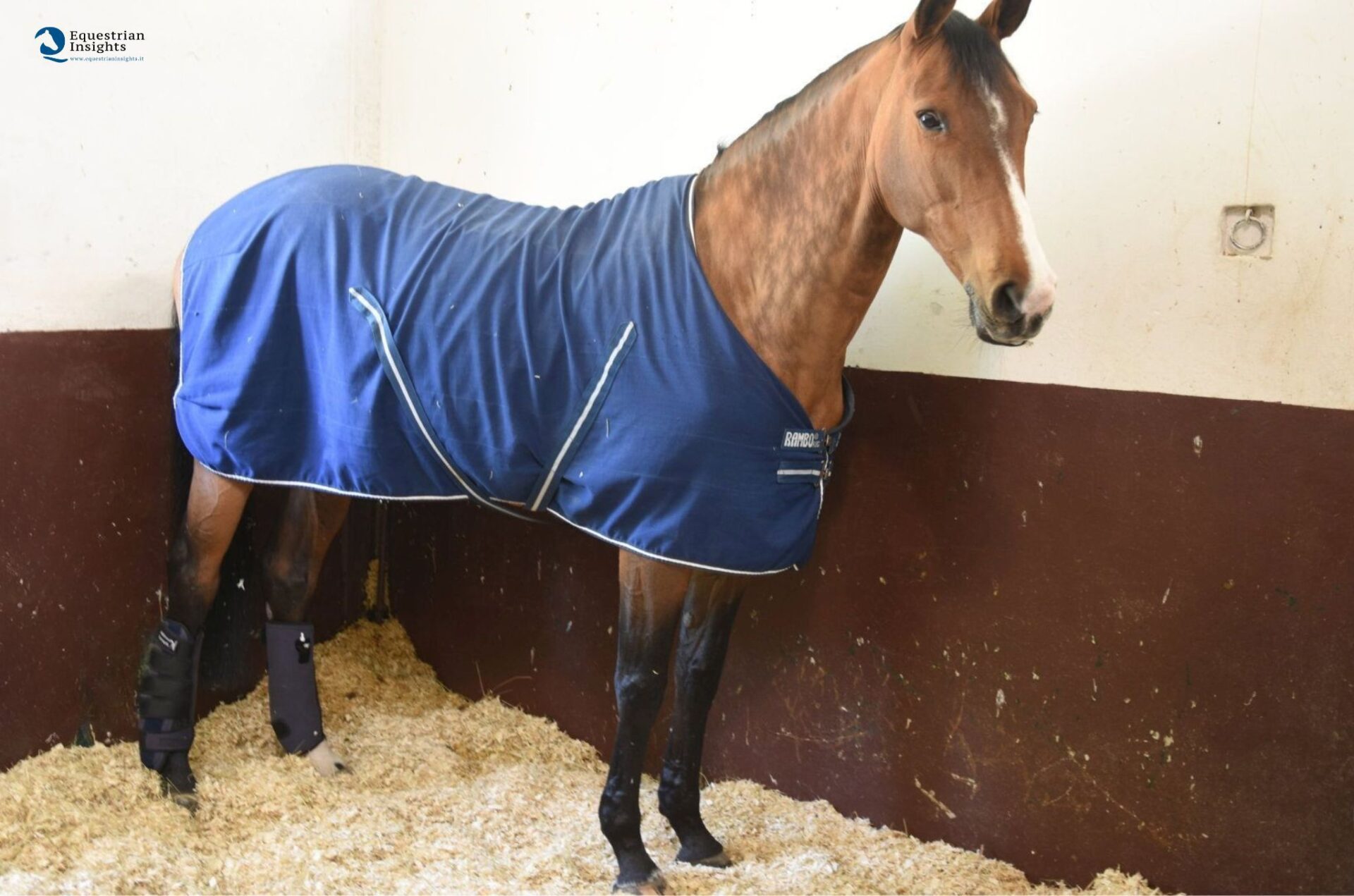 IVA al 10% sui trucioli anche se usati come lettiere