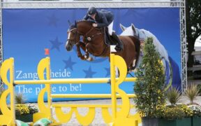 Kassander van’t Roosakker Z guida la classifica 2025 per "Black Type"