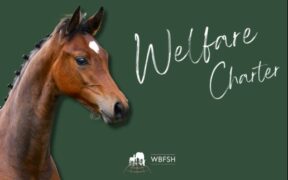 Nasce la Carta globale di impegno per il benessere equino nell'allevamento (WBFSH)