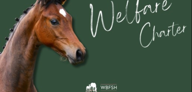 Nasce la Carta globale di impegno per il benessere equino nell'allevamento (WBFSH)