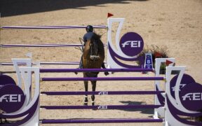 Record di CSI5 per il 2026: superata quota 100 concorsi nel calendario FEI
