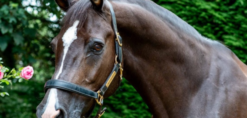 Rest in peace Valegro