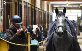 Sulla nuova tariffa dei costi massimi che i Comitati Organizzatori possono addebitare