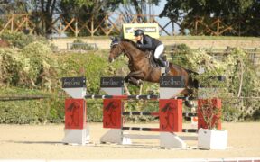 Best Young Horses Awards 2025: Nata Prima di Ca’ San Giorgio tra i vincitori 1