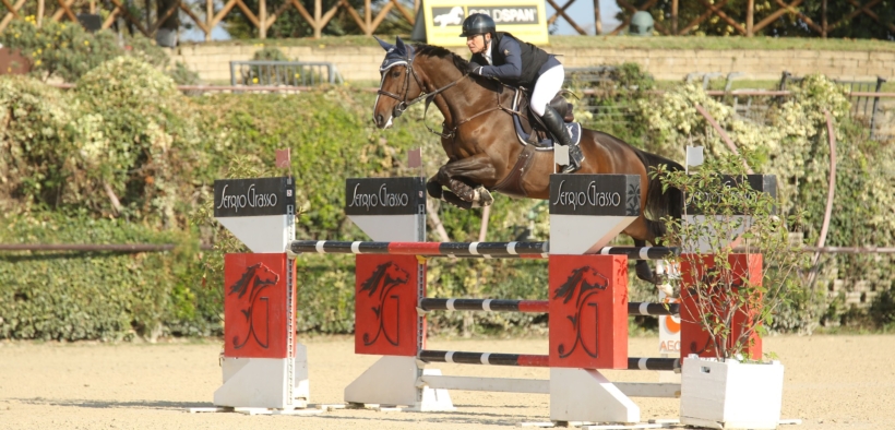 Best Young Horses Awards 2025: Nata Prima di Ca’ San Giorgio tra i vincitori 1